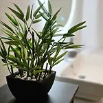 Apartamento Poolvision